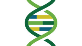 New Report Examines Diversity in the Human Genetics and Genomics Workforce
